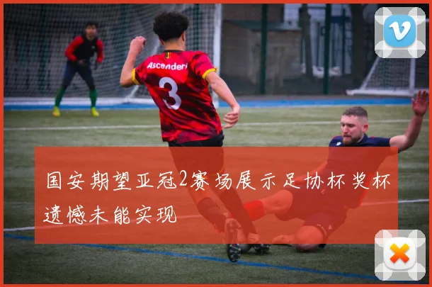 国安期望亚冠2赛场展示足协杯奖杯遗憾未能实现
