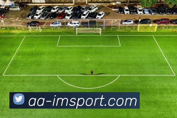 IM足球体育平台生态图