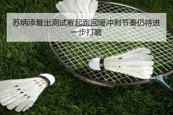 苏炳添复出测试赛起跑回暖冲刺节奏仍待进一步打磨 - IMSPORTS